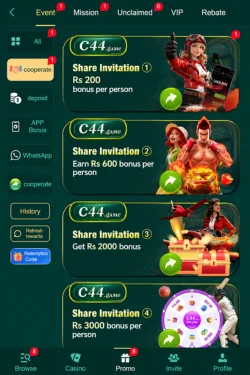 C44 Game