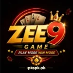 ZEE9 Game