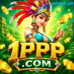 1PPP Game